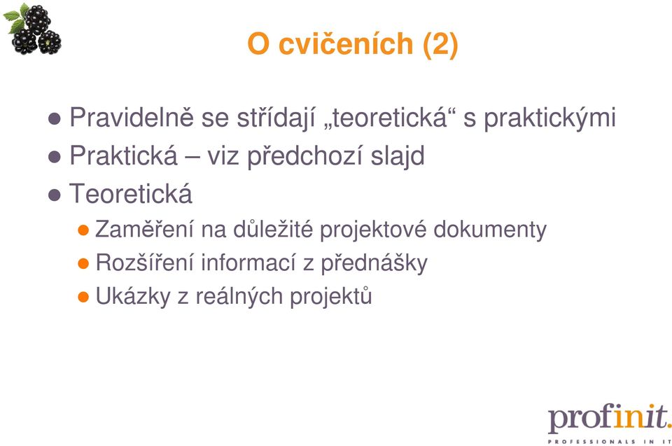 Teoretická Zaměření na důležité projektové