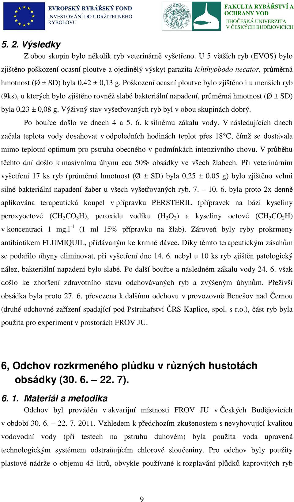 Poškození ocasní ploutve bylo zjištěno i u menších ryb (9ks), u kterých bylo zjištěno rovněž slabé bakteriální napadení, průměrná hmotnost (Ø ± SD) byla 0,23 ± 0,08 g.