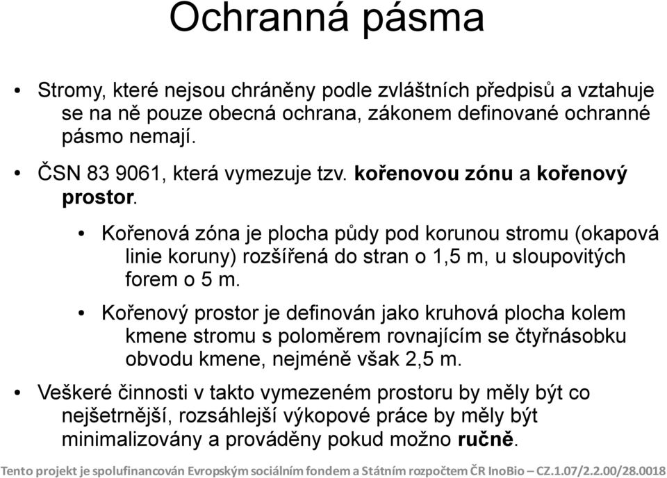 Kořenová zóna je plocha půdy pod korunou stromu (okapová linie koruny) rozšířená do stran o 1,5 m, u sloupovitých forem o 5 m.