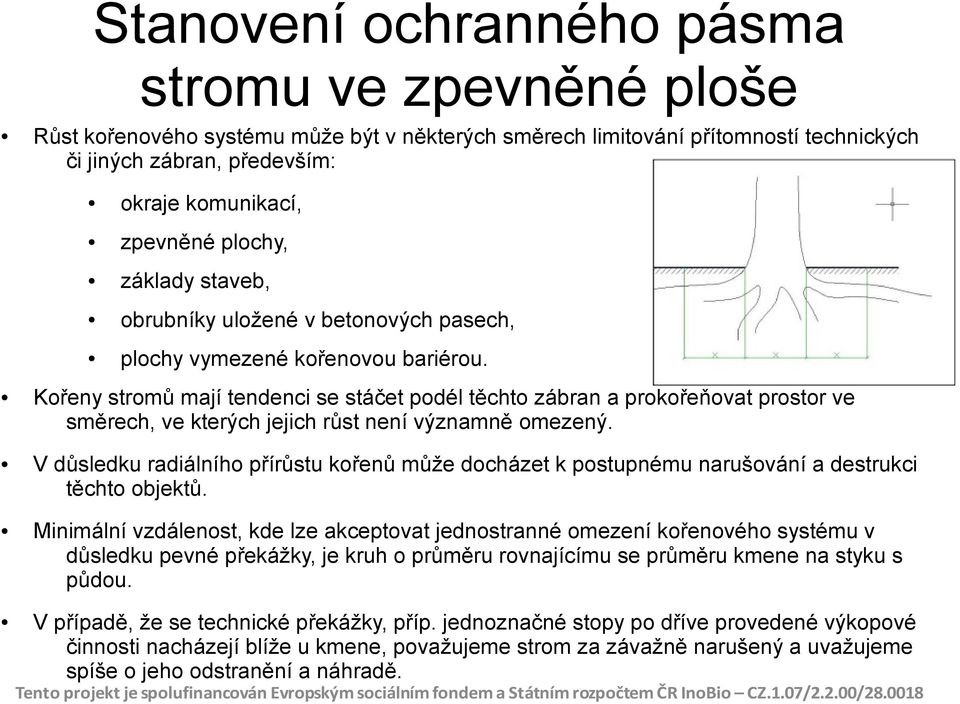 Kořeny stromů mají tendenci se stáčet podél těchto zábran a prokořeňovat prostor ve směrech, ve kterých jejich růst není významně omezený.