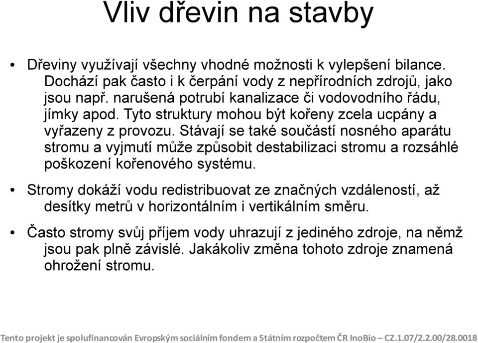 Stávají se také součástí nosného aparátu stromu a vyjmutí může způsobit destabilizaci stromu a rozsáhlé poškození kořenového systému.