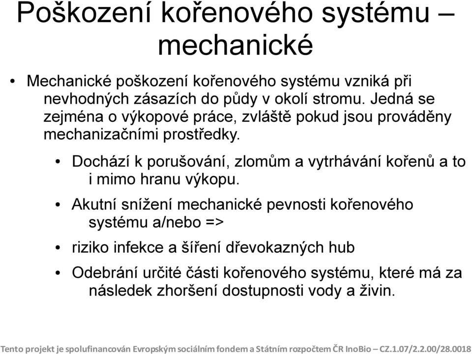 Dochází k porušování, zlomům a vytrhávání kořenů a to i mimo hranu výkopu.