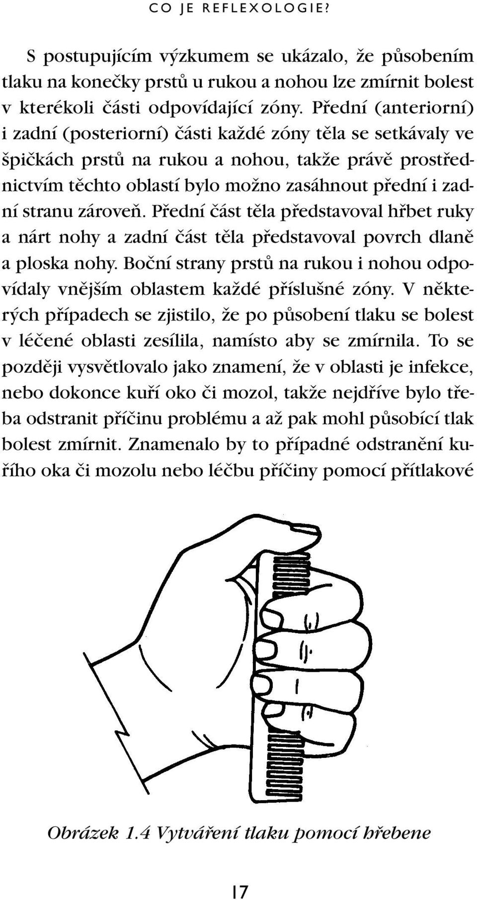 stranu zároveà. Pfiední ãást tûla pfiedstavoval hfibet ruky a nárt nohy a zadní ãást tûla pfiedstavoval povrch dlanû a ploska nohy.