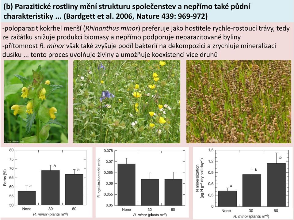 tedy ze začátku snižuje produkci biomasy a nepřímo podporuje neparazitované byliny přítomnost p R.