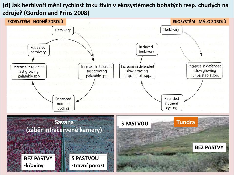 (Gordon and Prins 2008) EKOSYSTÉM HODNĚ Ě ZDROJŮŮ EKOSYSTÉM MÁLO