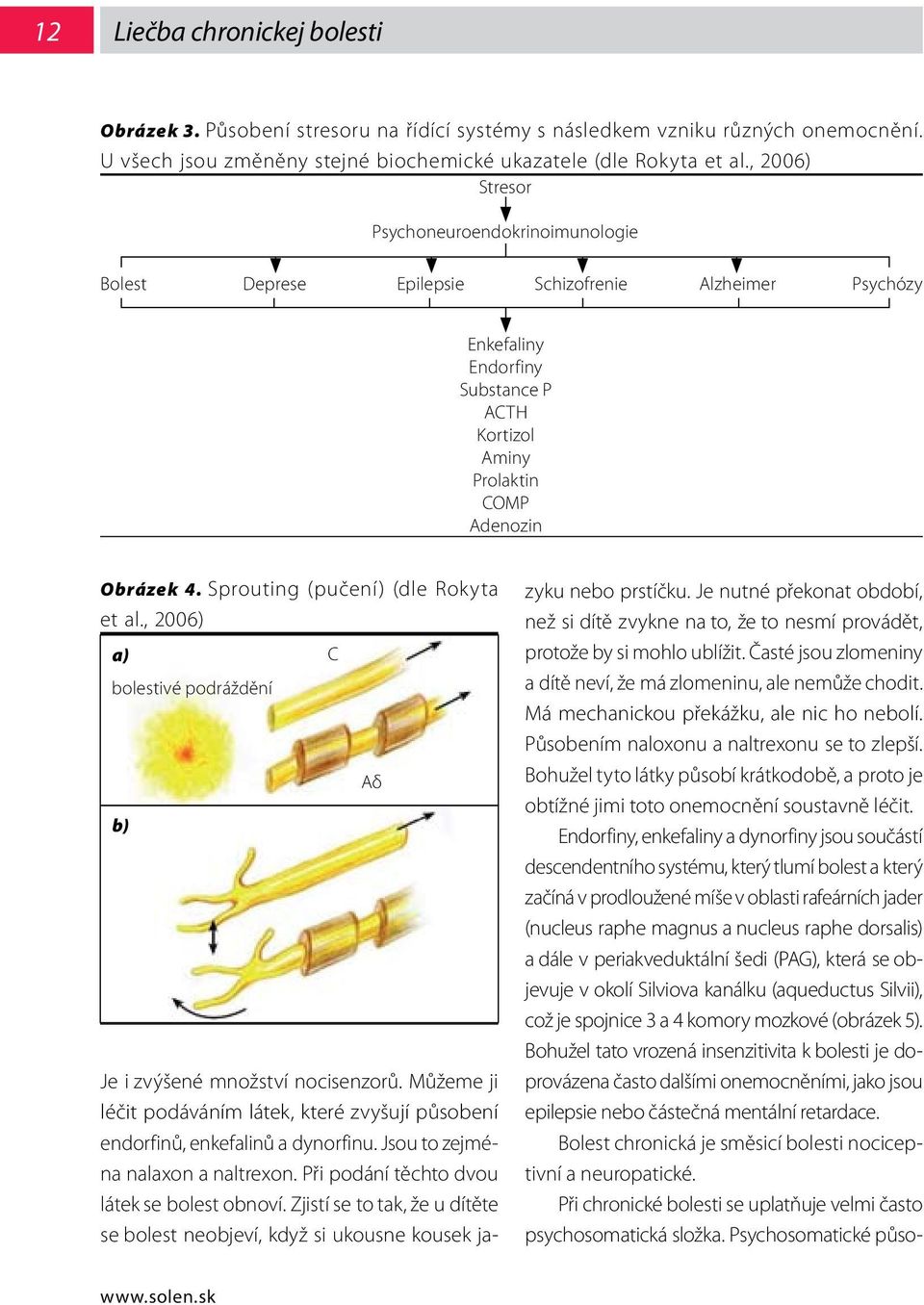 Sprouting (pučení) (dle Rokyta et al., 2006) a) bolestivé podráždění b) C Aδ Je i zvýšené množství nocisenzorů.