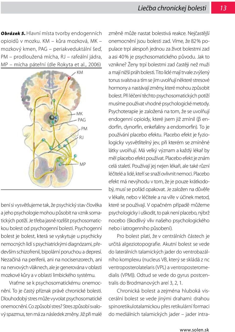 , 2006) KM MK PAG PM bení si vysvětlujeme tak, že psychický stav člověka a jeho psychologie mohou působit na vznik somatických potíží.