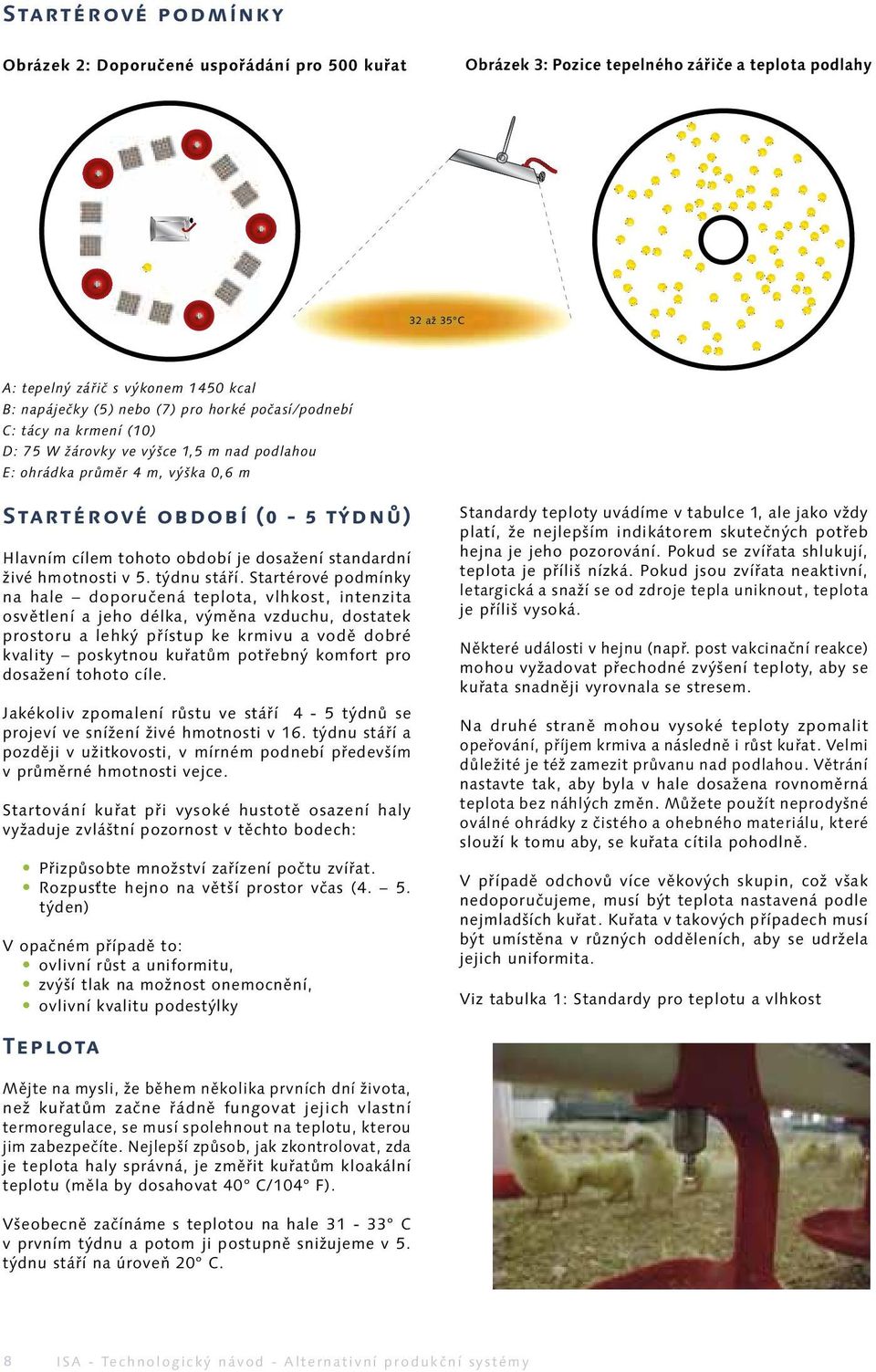 dosažení standardní živé hmotnosti v 5. týdnu stáří.