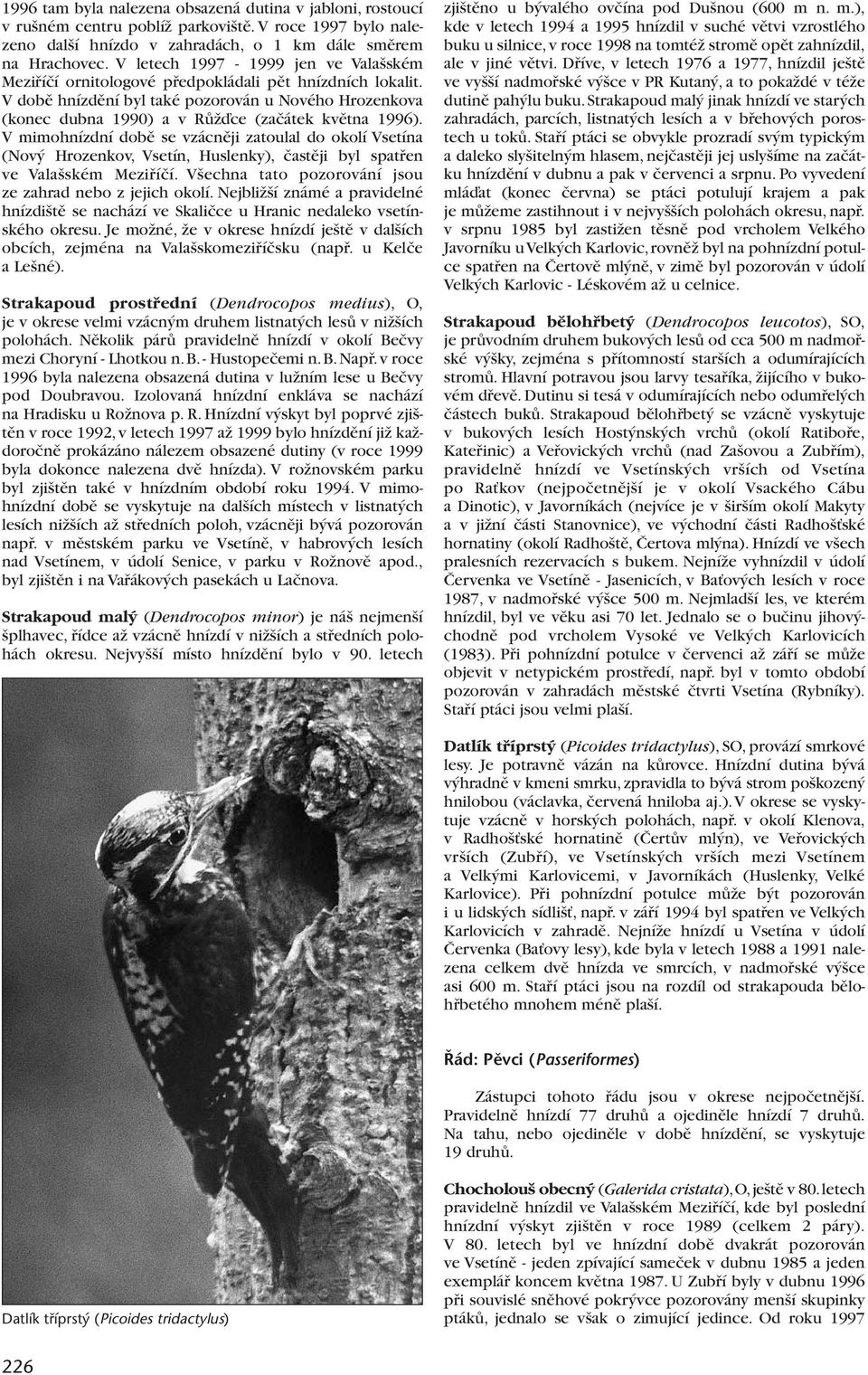 V dobû hnízdûní byl také pozorován u Nového Hrozenkova (konec dubna 1990) a v RÛÏìce (zaãátek kvûtna 1996).