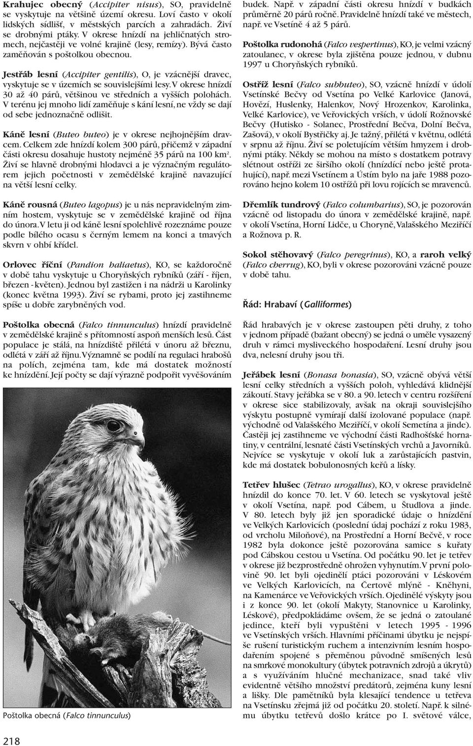 Jestfiáb lesní (Accipiter gentilis), O, je vzácnûj í dravec, vyskytuje se v územích se souvislej ími lesy.v okrese hnízdí 30 aï 40 párû, vût inou ve stfiedních a vy ích polohách.