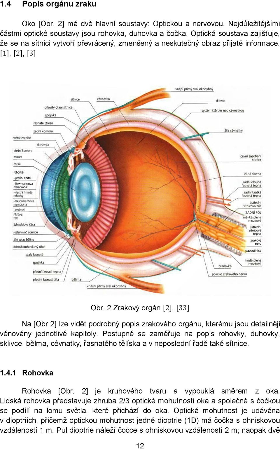 2 Zrakový orgán [2], [33] Na [Obr 2] lze vidět podrobný popis zrakového orgánu, kterému jsou detailněji věnovány jednotlivé kapitoly.
