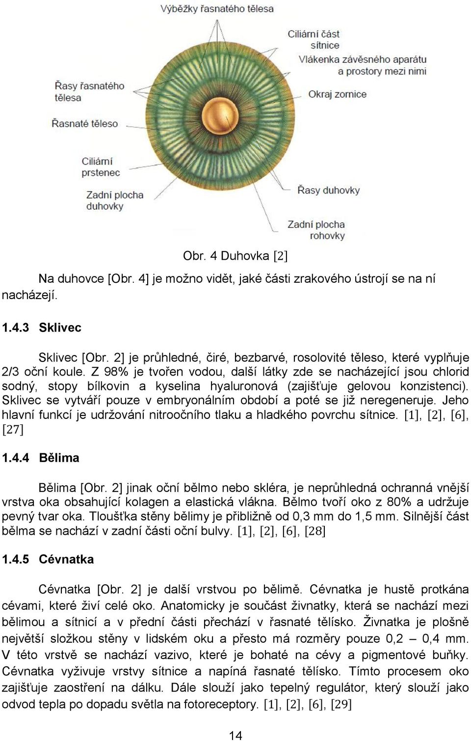 Z 98% je tvořen vodou, další látky zde se nacházející jsou chlorid sodný, stopy bílkovin a kyselina hyaluronová (zajišťuje gelovou konzistenci).