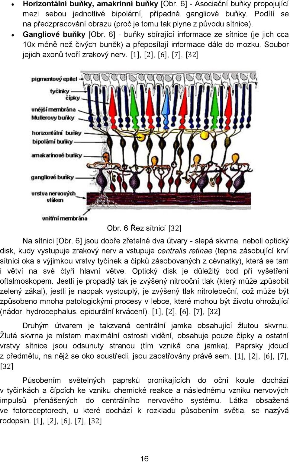 6] - buňky sbírající informace ze sítnice (je jich cca 10x méně než čivých buněk) a přeposílají informace dále do mozku. Soubor jejich axonů tvoří zrakový nerv. [1], [2], [6], [7], [32] Obr.