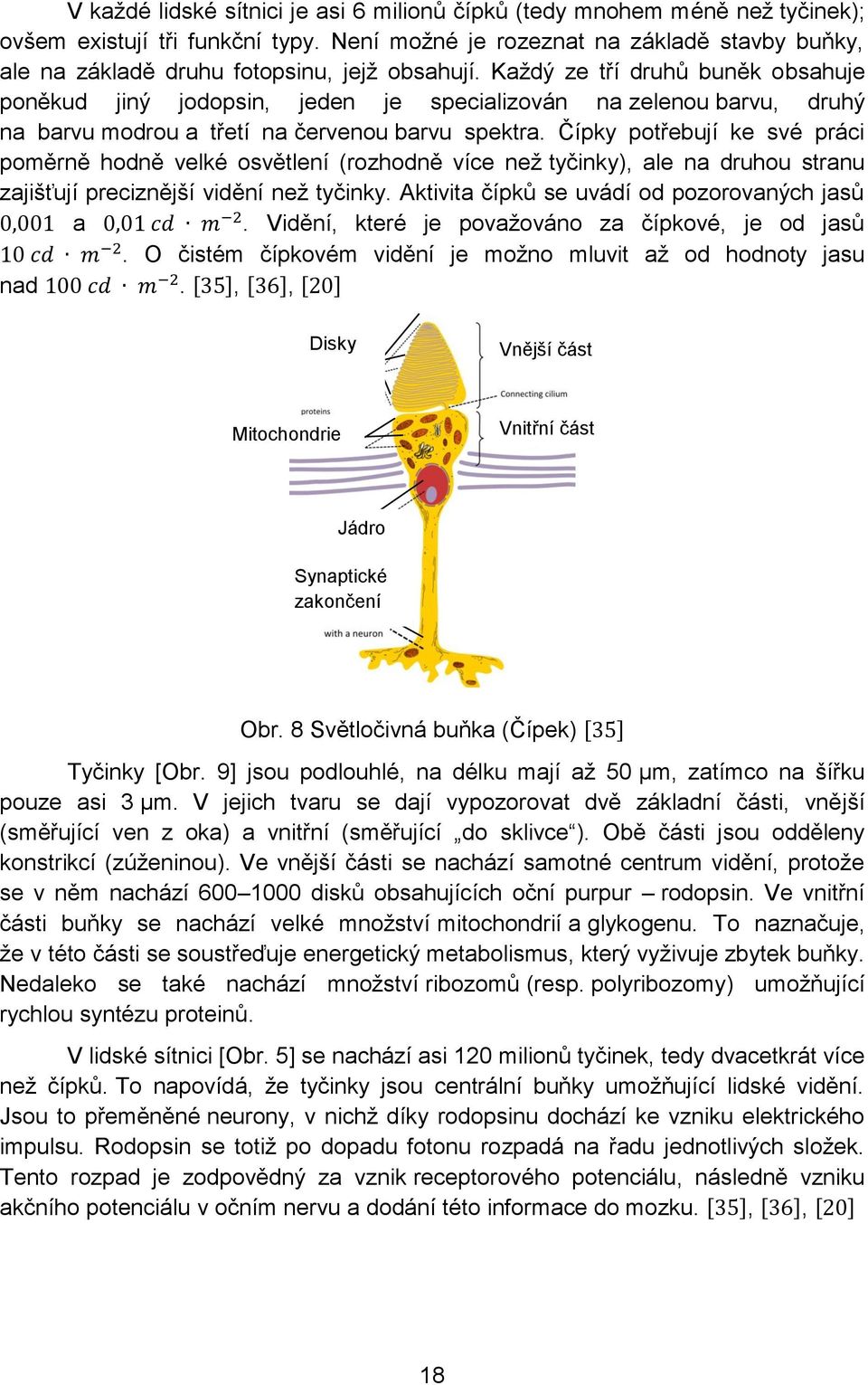 Každý ze tří druhů buněk obsahuje poněkud jiný jodopsin, jeden je specializován na zelenou barvu, druhý na barvu modrou a třetí na červenou barvu spektra.