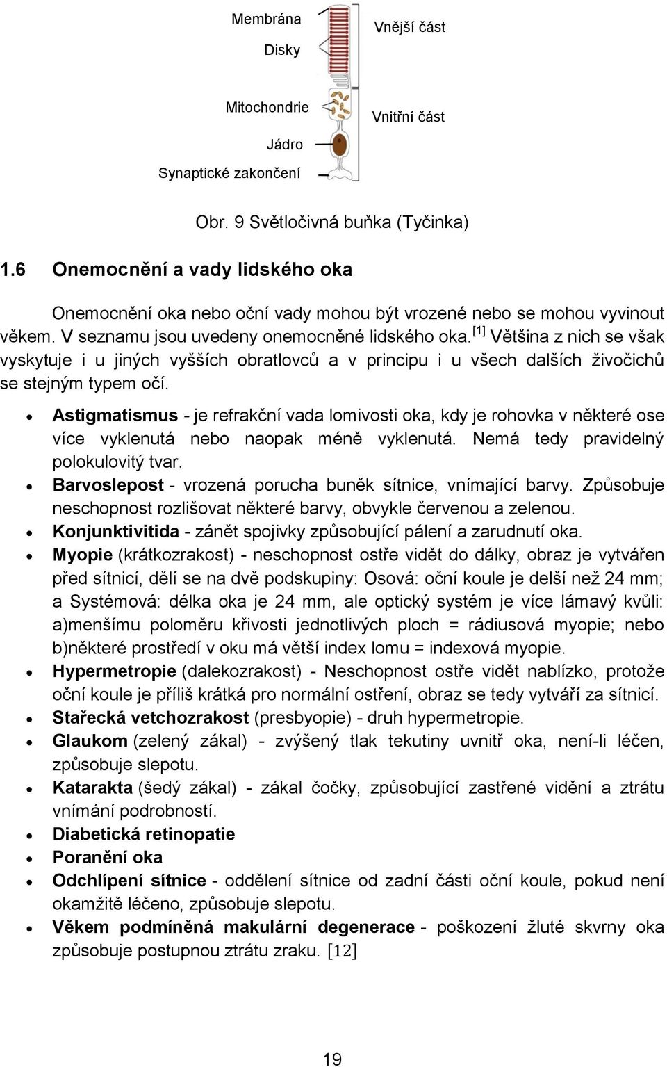 [1] Většina z nich se však vyskytuje i u jiných vyšších obratlovců a v principu i u všech dalších živočichů se stejným typem očí.