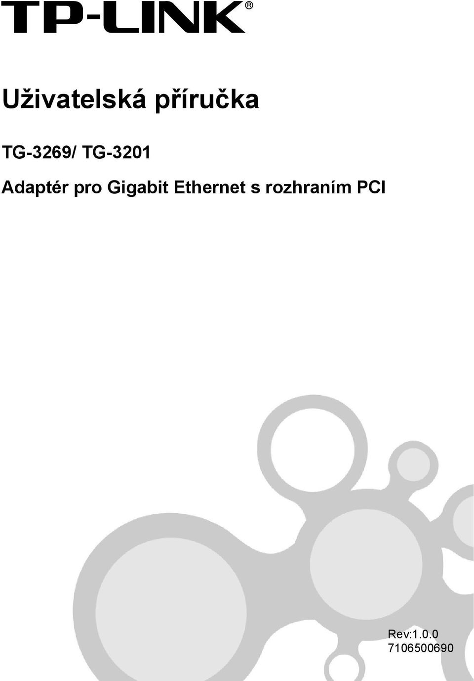 pro Gigabit Ethernet s