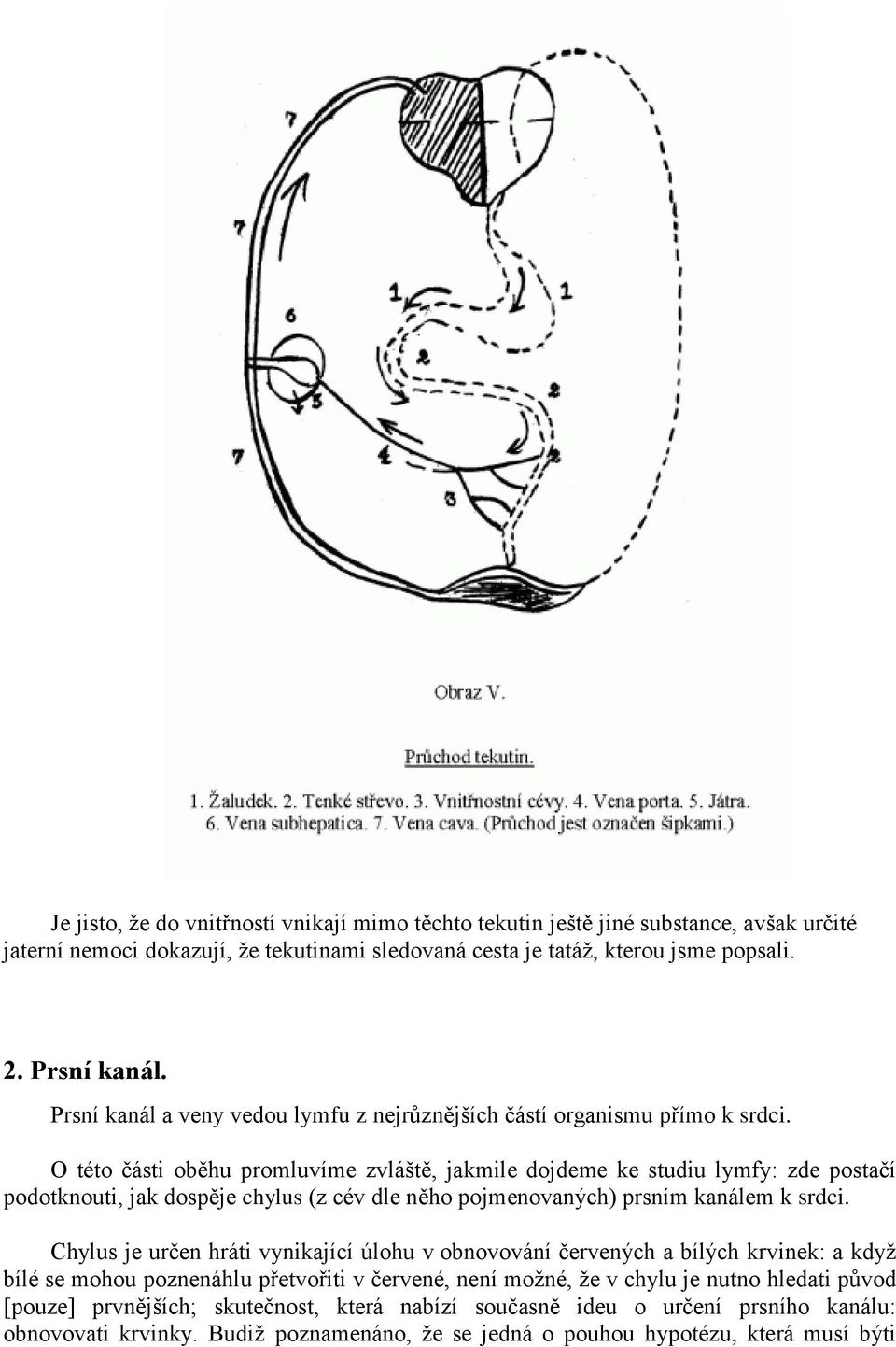 O této části oběhu promluvíme zvláště, jakmile dojdeme ke studiu lymfy: zde postačí podotknouti, jak dospěje chylus (z cév dle něho pojmenovaných) prsním kanálem k srdci.
