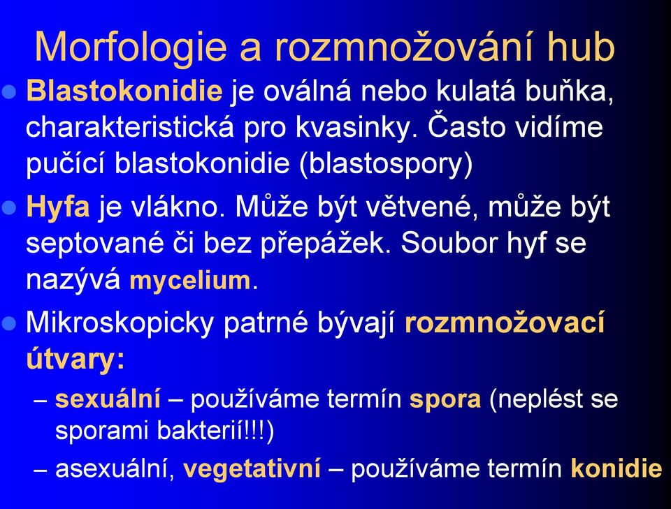 Můţe být větvené, můţe být septované či bez přepáţek. Soubor hyf se nazývá mycelium.