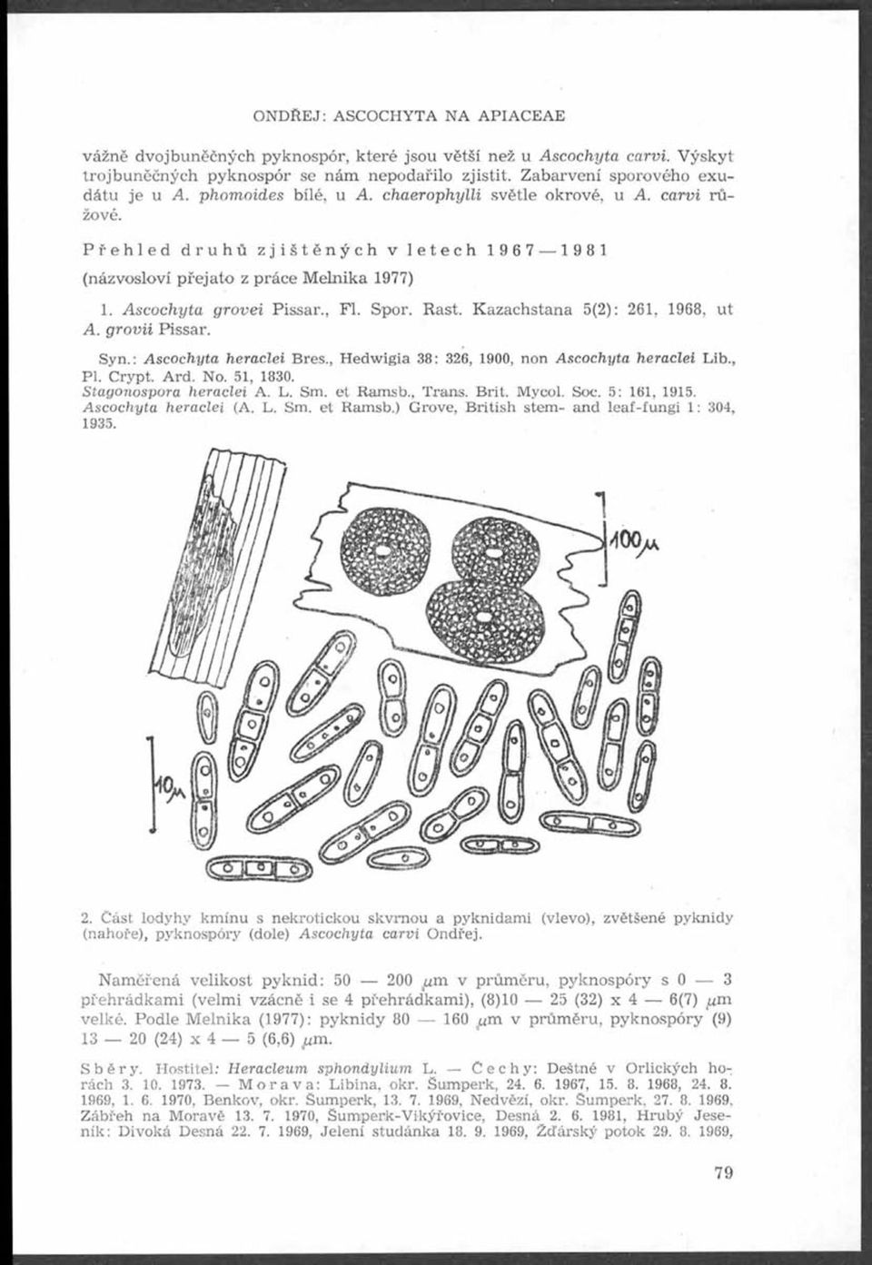 Kazachstana 5(2): 261, 1968, ut A. g rovii Pissar. Syn.: Ascochyta heraclei Bres., Hedwigia 38: 326, 1900, non Ascochyta heraclei Lib., Pl. Crypt. Ard. No. 51, 1830. Stagonospora heraclei A. L. Sm.