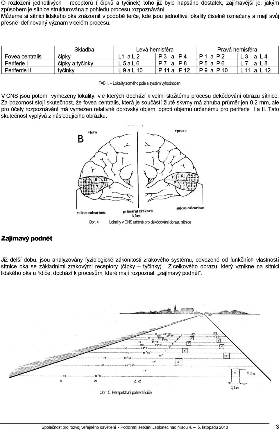 Skladba Levá hemisféra Pravá hemisféra Fovea centralis čípky L1 a L 2 P 3 a P 4 P 1 a P 2 L 3 a L 4 Periferie I čípky a tyčinky L 5 a L 6 P 7 a P 8 P 5 a P 6 L 7 a L 8 Periferrie II tyčinky L 9 a L