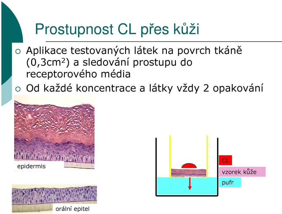 receptorového média Od každé koncentrace a látky