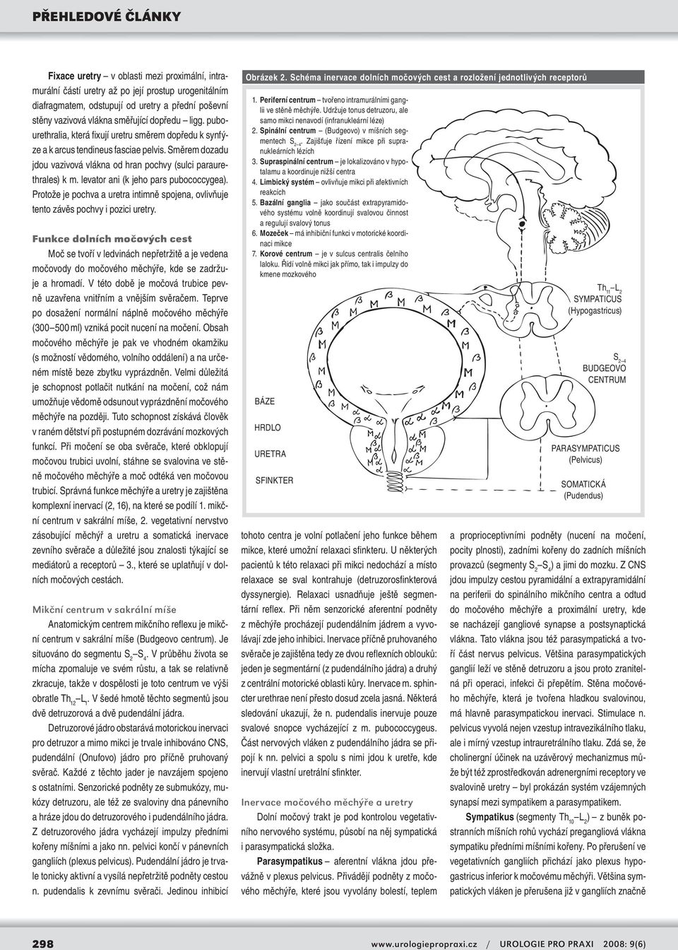 levator ani (k jeho pars pubococcygea). Protože je pochva a uretra intimně spojena, ovlivňuje tento závěs pochvy i pozici uretry.