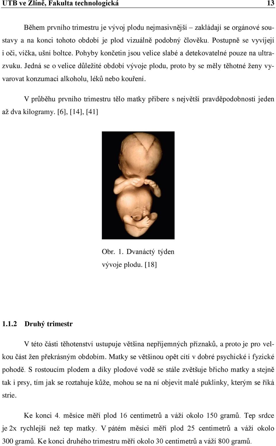 Jedná se o velice důležité období vývoje plodu, proto by se měly těhotné ženy vyvarovat konzumaci alkoholu, léků nebo kouření.