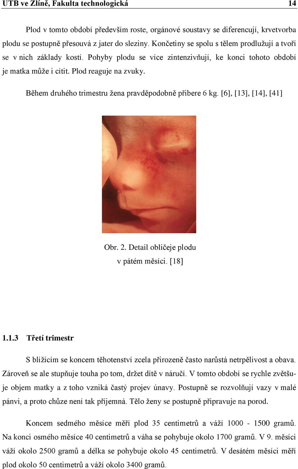 Během druhého trimestru žena pravděpodobně přibere 6 kg. [6], [13], [14], [41] Obr. 2. Detail obličeje plodu v pátém měsíci. [18] 1.1.3 Třetí trimestr S blížícím se koncem těhotenství zcela přirozeně často narůstá netrpělivost a obava.