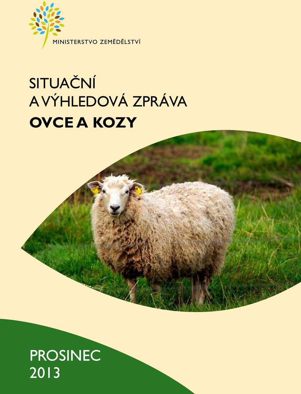 zpráva ovce a