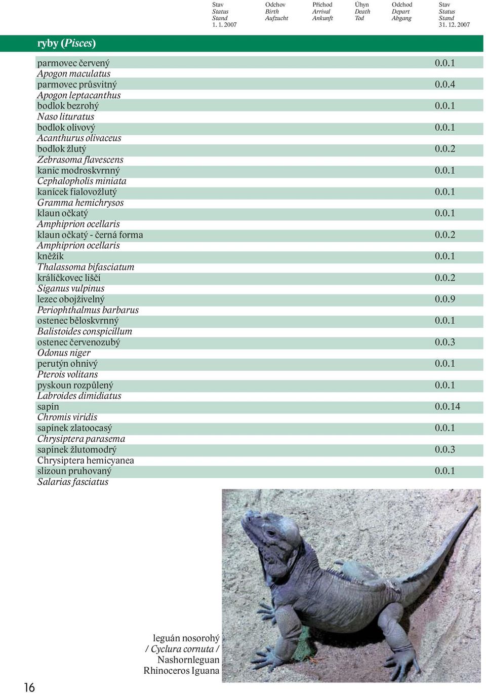 0.1 Gramma hemichrysos klaun očkatý 0.0.1 Amphiprion ocellaris klaun očkatý - černá forma 0.0.2 Amphiprion ocellaris kněžík 0.0.1 Thalassoma bifasciatum králíčkovec liščí 0.0.2 Siganus vulpinus lezec obojživelný 0.