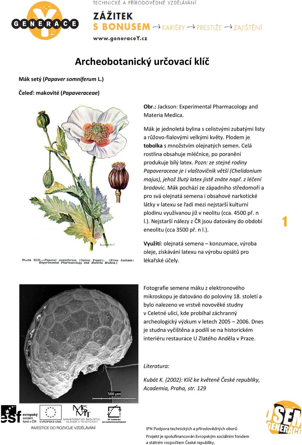 Pozn: ze stejné rodiny Papaveraceae je i vlaštovičník větší (Chelidonium majus), jehož žlutý latex jistě znáte např. z léčení bradavic.