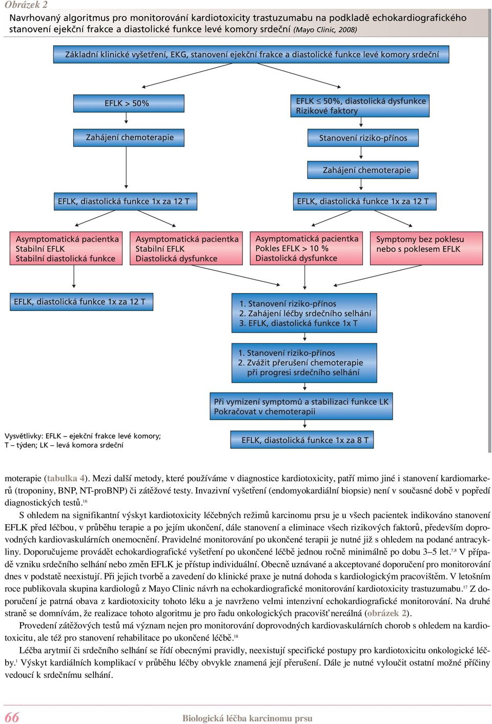 Mezi další metody, které používáme v diagnostice kardiotoxicity, patří mimo jiné i stanovení kardiomarkerů (troponiny, BNP, NT-proBNP) či zátěžové testy.