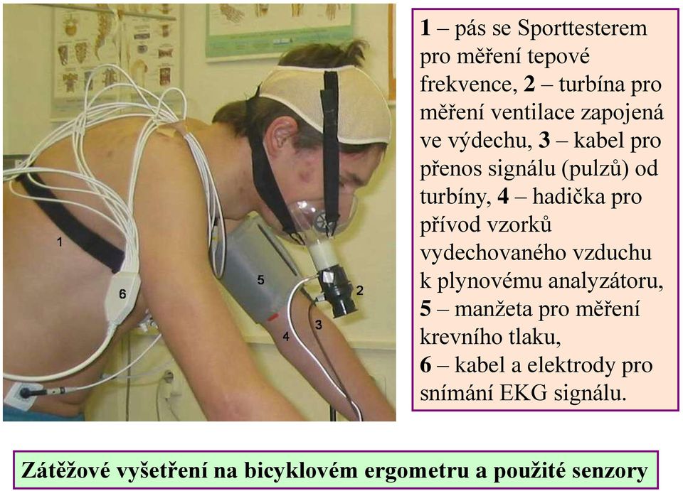 vydechovaného vzduchu k plynovému analyzátoru, 5 manžeta pro měření krevního tlaku, 6 kabel