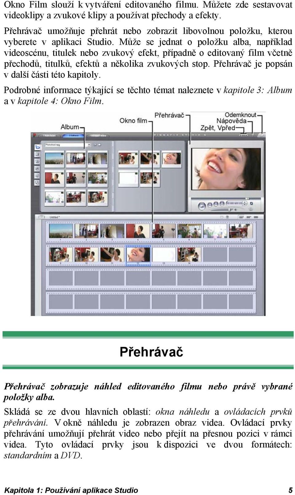 Může se jednat o položku alba, například videoscénu, titulek nebo zvukový efekt, případně o editovaný film včetně přechodů, titulků, efektů a několika zvukových stop.