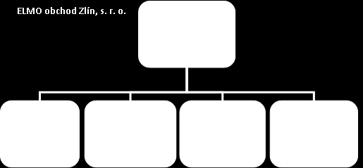 3.4 Organizační struktura Následující obrázek objasňuje vlastnickou strukturu: Obrázek 15 Vlastnická struktura, zdroj: vlastní zpracování Organizační struktura poboček se sídlem v