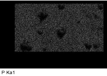 Obr. 22 a 33. SEM snímky povlaku Ni P CNT s viditelnými dutinami nanotrubic Obr. 24, 25, 26.