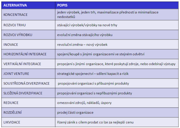 strana 28 Strategické alternativy