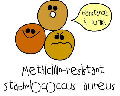 Vlastnosti tvoří exopolysacharidy slizy tvoří biofilm pomocí adhezinu na krevním agaru může způsobovat úplnou hemolýzu MRSA (methicillin-rezistentní S.