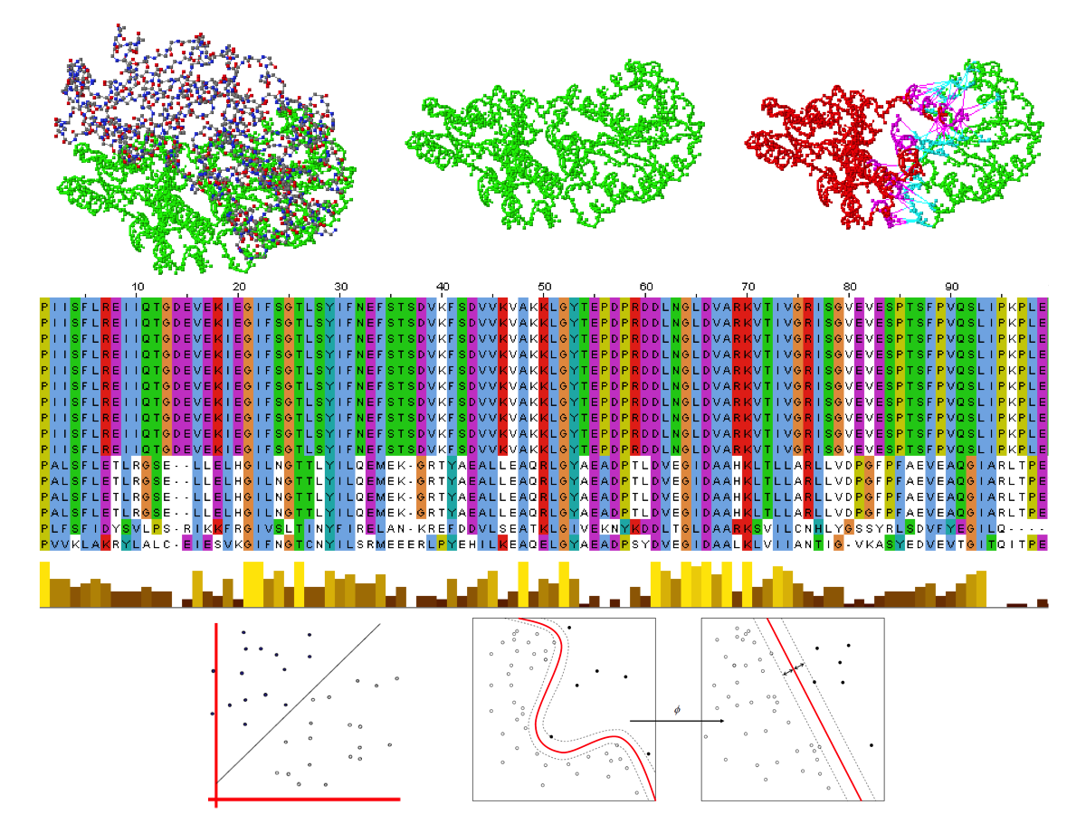 připravované mgr. studium bioinformatiky další mgr.