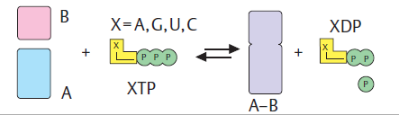 6. EC 6.