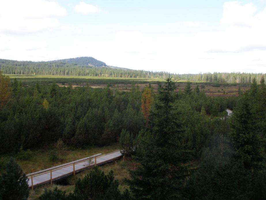 zónu Národního parku Šumava s výměrou 231,1 ha. Obrázek č.