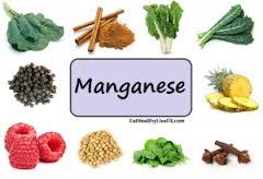 PŘÍVOD MANGANU Školní obědy v průměru obsahovaly dostatek manganu.