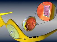 4. Pokrok ve vědě 4.1. Umělá sítnice K novinkám v oblasti vědy patří čip, jenž napodobuje funkci sítnice lidského oka.