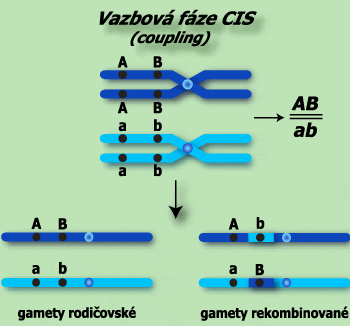 Výjimky z