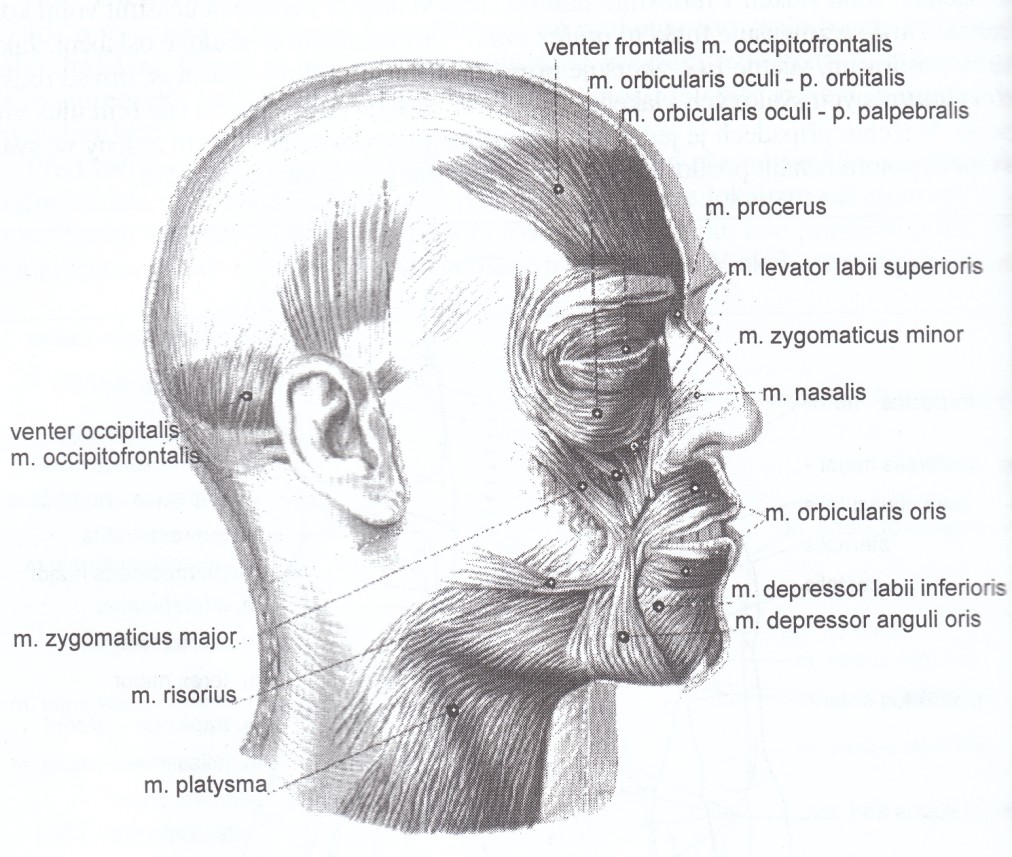 Příloha 5.