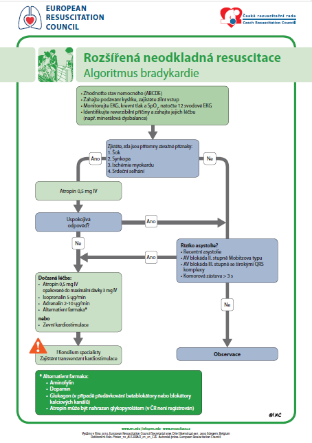 PŘÍLOHA G Algorytmus bradykardie A Zdroj: http://www.resuscitace.