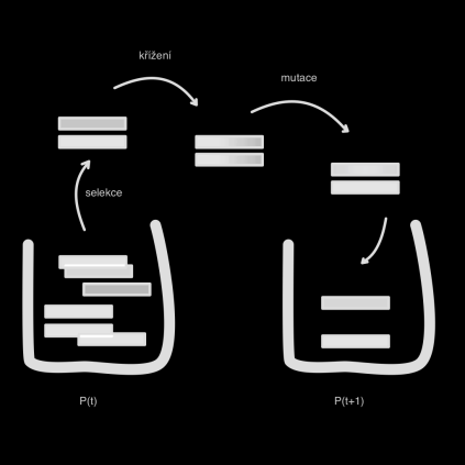 SGA - princip t=0; Náhodně vygeneruj populaci P(0) n l-bitových jedinců Přechod od P(t) k P(t+1): Spočti f(x) pro každé x z P(t) Opakuj n/2 krát: