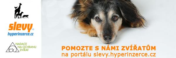 PES VE MĚSTĚ Pes ve městě je dlouhodobý obecně prospěšný projekt (informační brožura), který postihuje veškeré aspekty problematiky chovu a držení psa v městské aglomeraci.