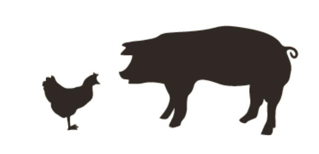 Zahraniční neziskové, profesní a zájmové organizace World Society for the Protection of Animals (WSPA) Od roku 1994 je nadace členem WSPA, která sdružuje cca 460 ochranářských organizací ze 118 zemí