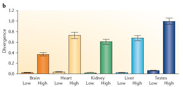 Míra divergence mezi druhy je přímoúměrná míře vnitrodruhové variability Míra v divergenci exprese mezi člověkem a šimpanzem pro geny s nízkou a vysokou vnitrodruhovou